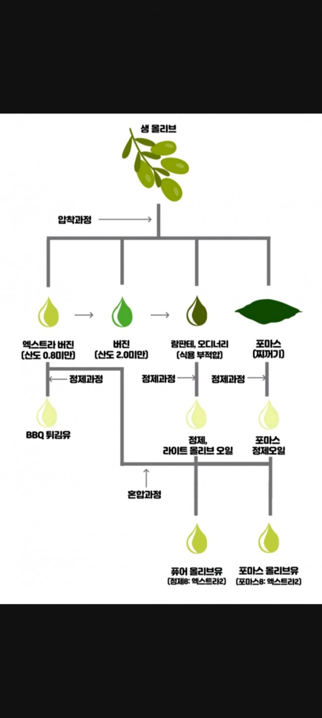 [체험팩 이벤트] 키즈 비긴즈