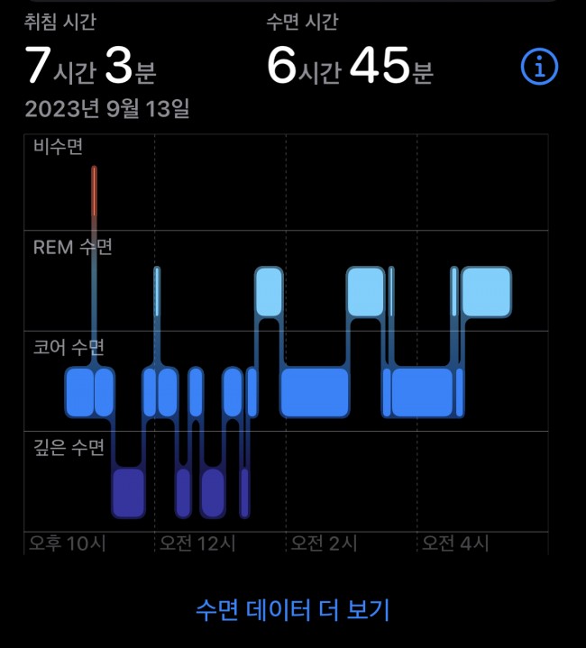 [체험팩]오투부스터 (2포)